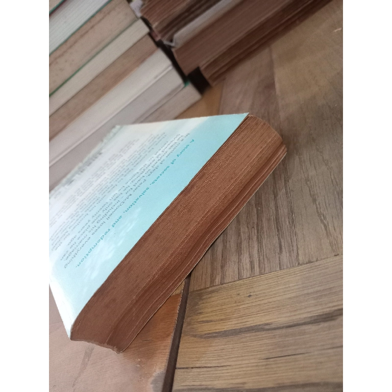 Prodigal Son - Danielle Steel 279263