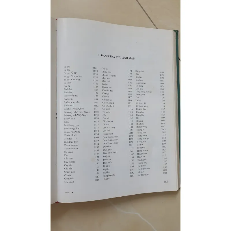 CÂY THUỐC VỊ THUỘC VIỆT NAM  931945