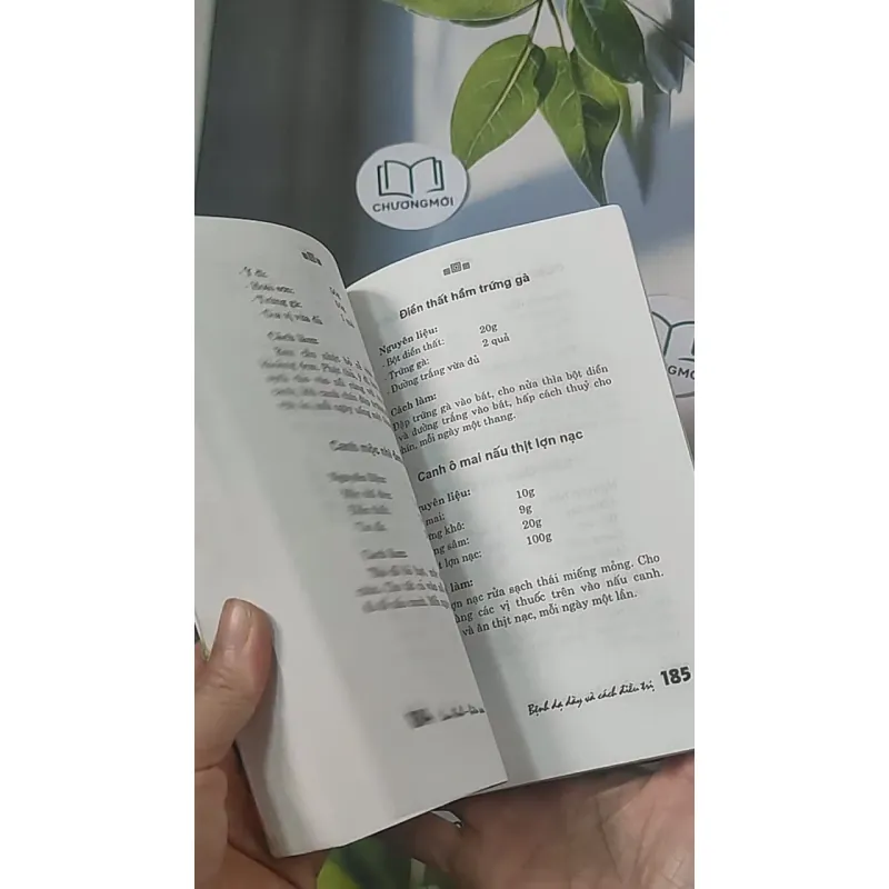 Bệnh dạ dày và cách điều trị - Lan Anh 688456