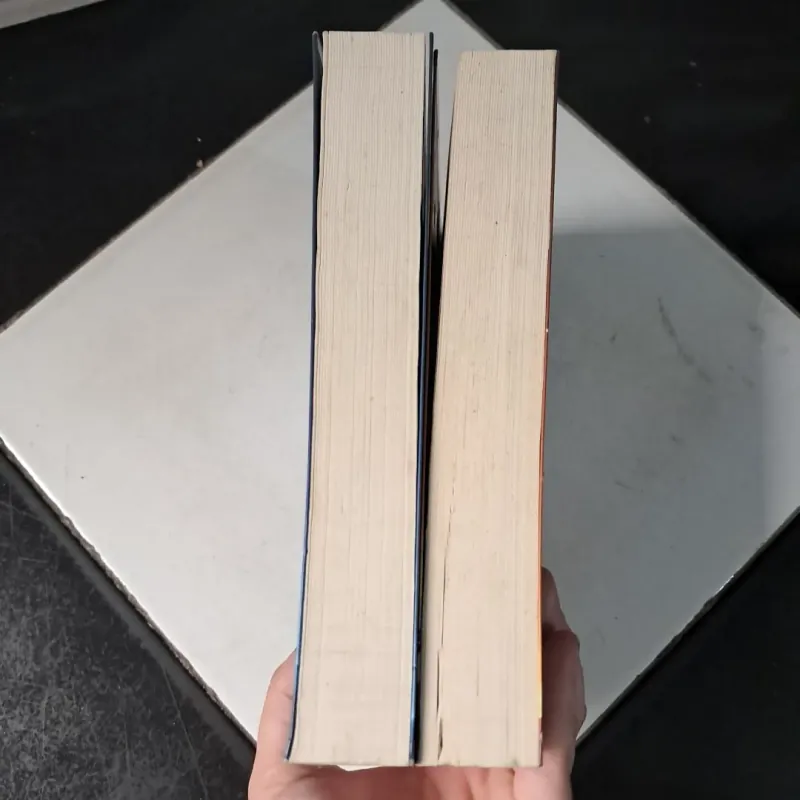 Mèo hoang-Đinh Mặc 1011170