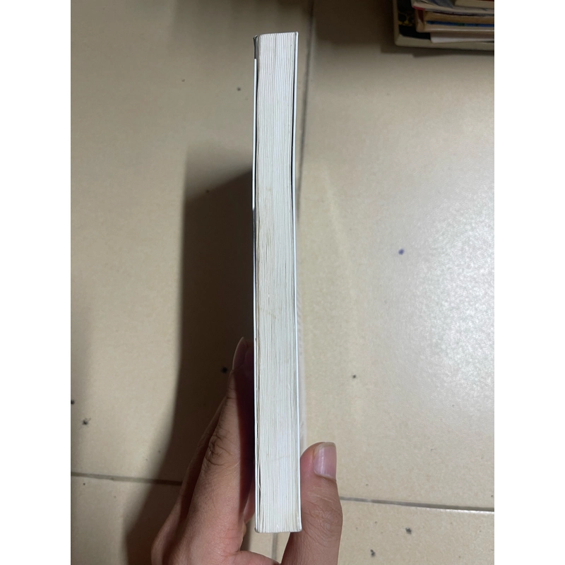 Phái nam biên giới phía Tây mặt trời (c47) 495633