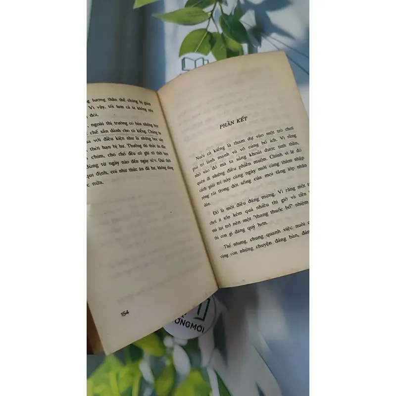 [XƯA] Thú Chơi Cá Kiểng Xưa Và Nay (1996) - Việt Chương 775981