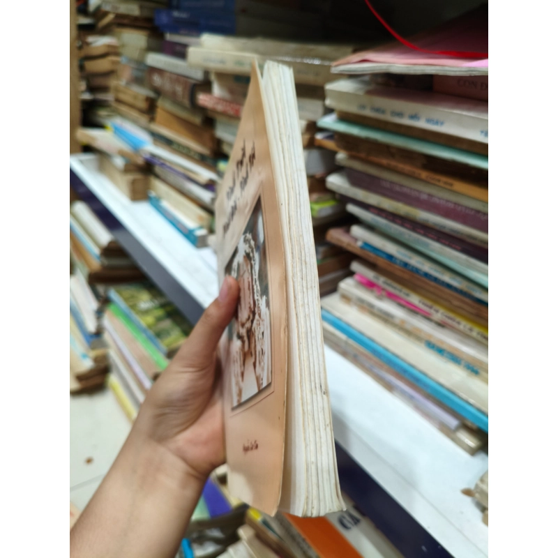Tình trời tình đời tình tôi 🌱 463989