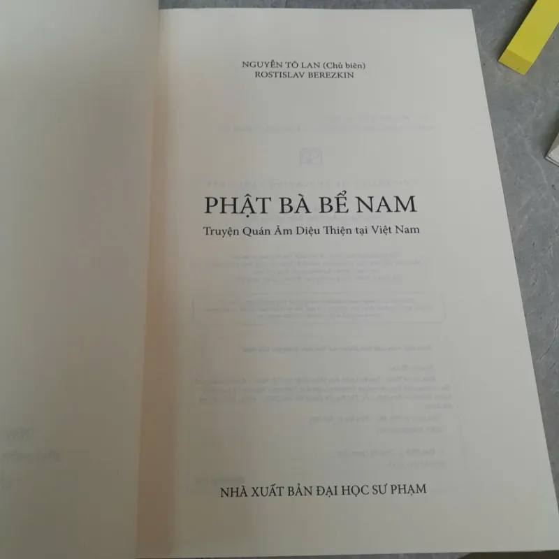 PHẬT BÀ BỂ NAM: TRUYỆN QUAN ÂM DIỆU THIỆN TẠI VIỆT NAM - NGUYỄN TÔ LAN 789271