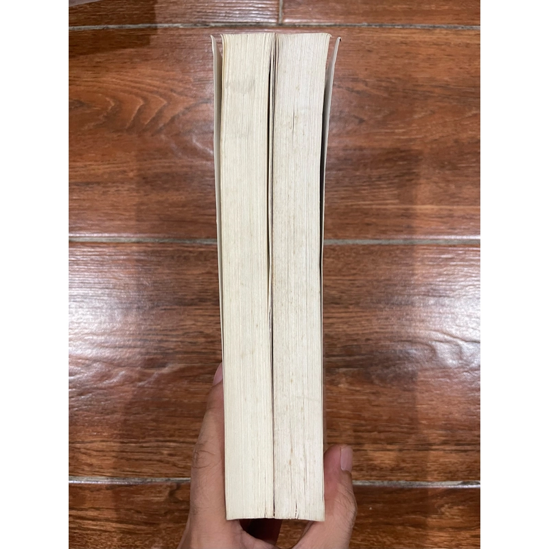 Việt Nam những sự kiện lịch sử  2 cuốn - Dương Trung Quốc (7) 525360