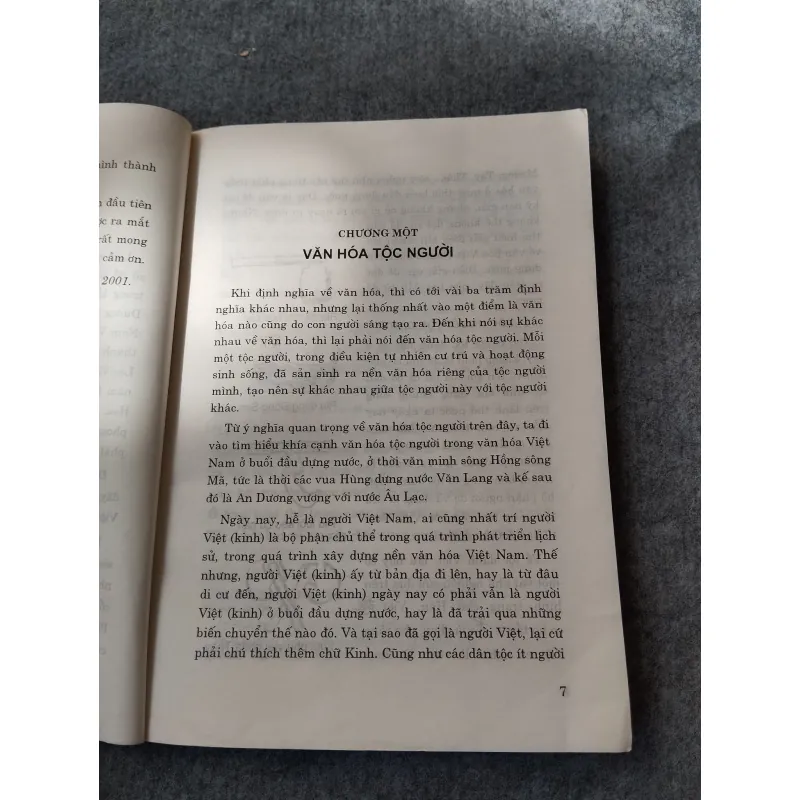 VĂN HOÁ VIỆT NAM BUỔI ĐẦU DỰNG NƯỚC 697763