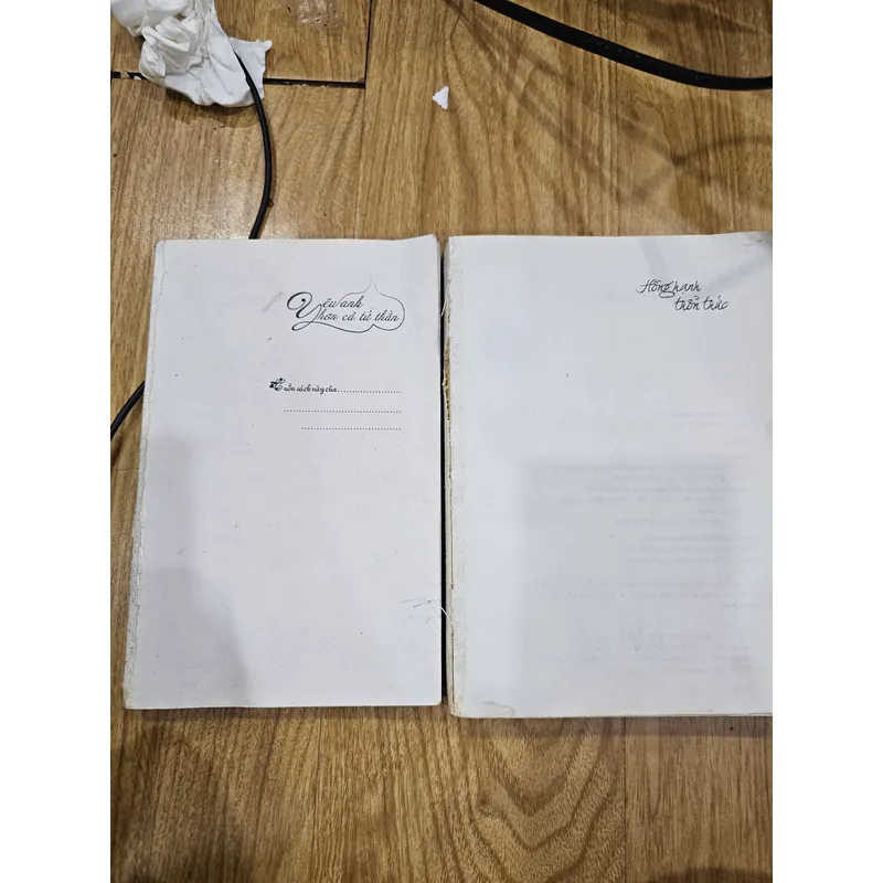 2q Yêu anh hơn cả tử thần và Hồng hạnh thổn thức (mất bìa,  đủ nội dung )
 723275