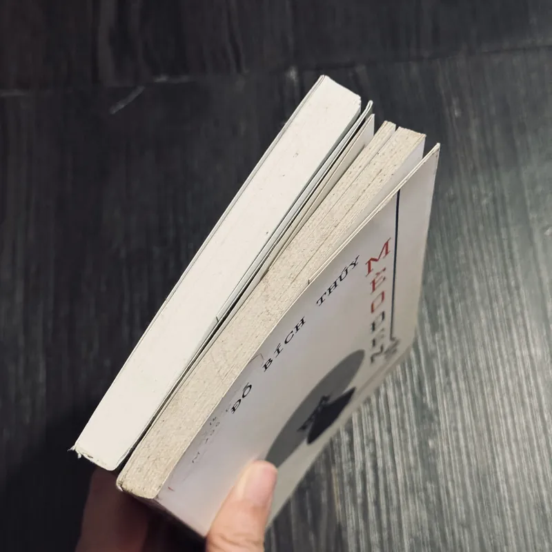 Combo 2c Đỗ Bích Thuý 684423