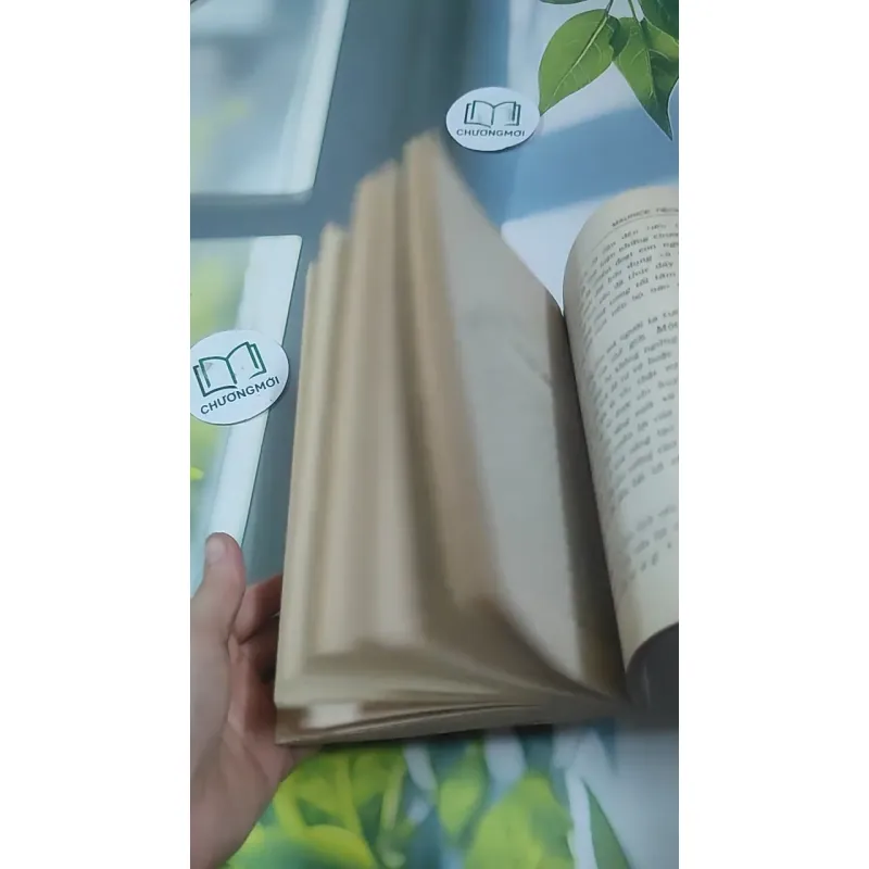 Nghệ Thuật Sống (1995) 727354