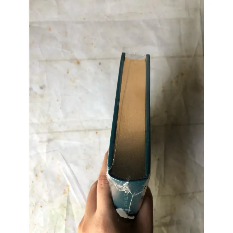 Về Với Gia Đình - Hector Malot 733701