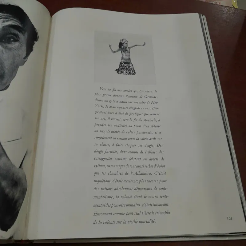 OBSERVATIONS - RICHARD AVEDON 787795