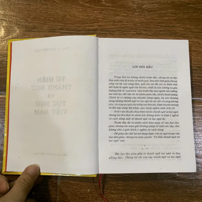 Từ điển thành ngữ và tục ngữ Việt Nam (11) 1021291