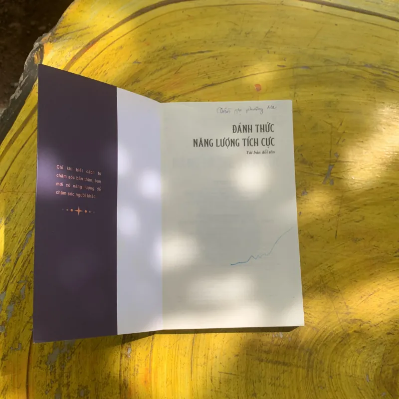 ĐÁNH THỨC NĂNG LƯỢNG TÍCH CỰC - EMILIE ARIES 937347