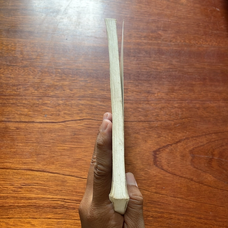 II Tủ Sách Phòng Hồ Chí Minh: Những Người Con Đỡ Đầu Của Bác - Trần Đương - 2001 507415
