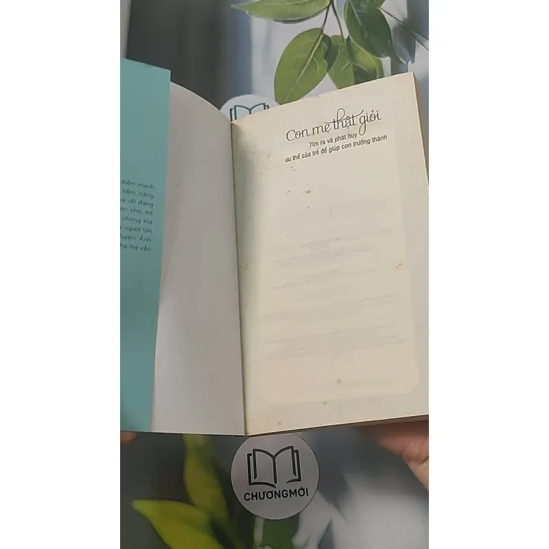 Con mẹ giỏi thật - Trương Binh 688476