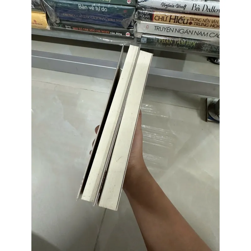 Combo 2 quyển Đàm đạo với Khổng Tử & Đàm đạo với Lão Tử - Hồ Văn Phi, Lưu Ngôn (Bìa mềm) 568303