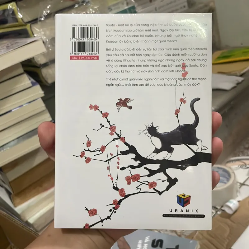 (boy love) - Quái mèo độc tấu - Dento Hayane 1004797