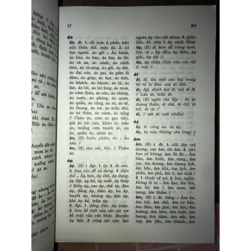 Từ điển đồng âm tiếng Việt  731490