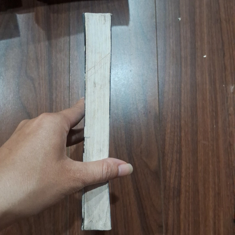 Những đứa concuar tự do 504500