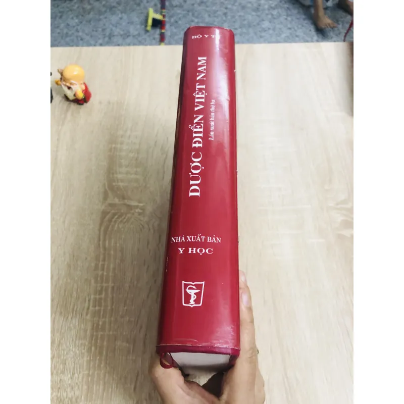 DƯỢC ĐIỂN VIỆT NAM 968610