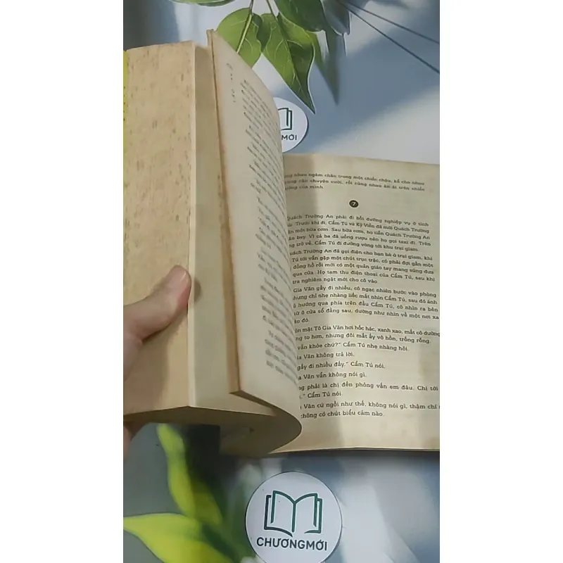 Tẩu hôn - Lão Tam 688593