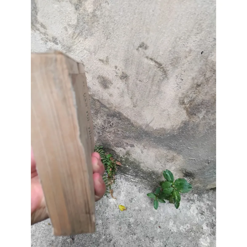 Về vấn đề xác định thành phần các dân tộc thiểu số ở miền Bắc Việt Nam  1019173