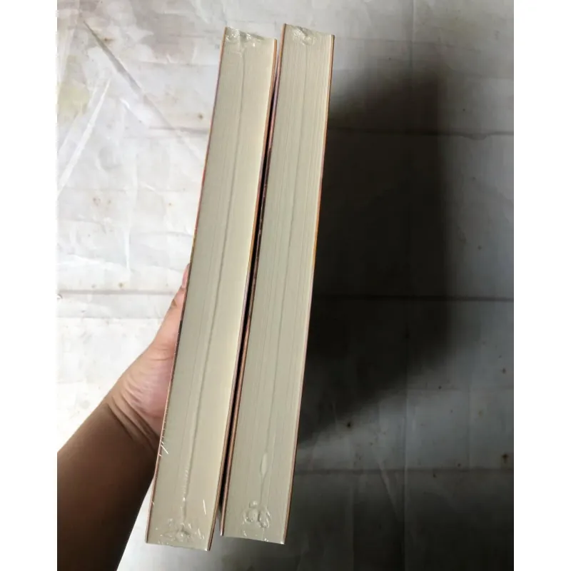 Trọn bộ 2 tập Những Tháng Năm Vội Vã - Minh Nguyệt Vô Ưu 736412