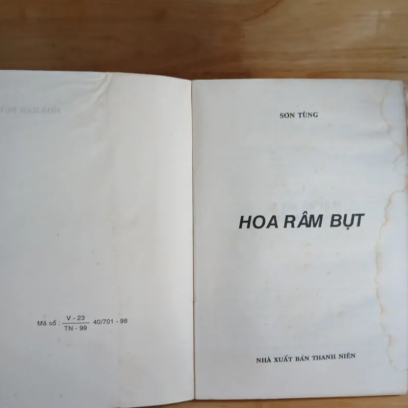 Hoa Râm Bụt - Sơn Tùng 728450