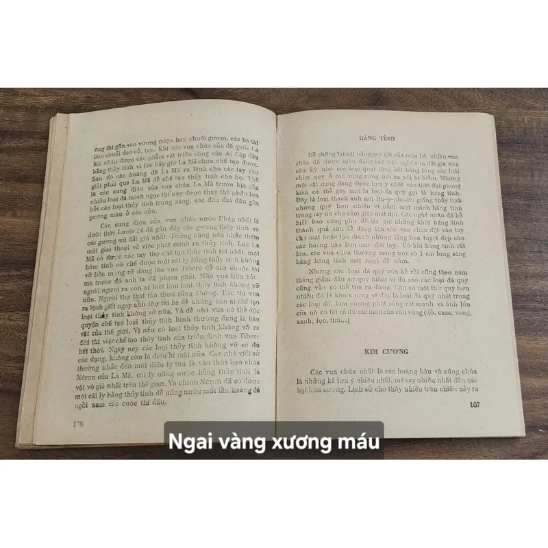 [Tủ sách Sông Hương 1988]

NGAI VÀNG XƯƠNG MÁU 713113