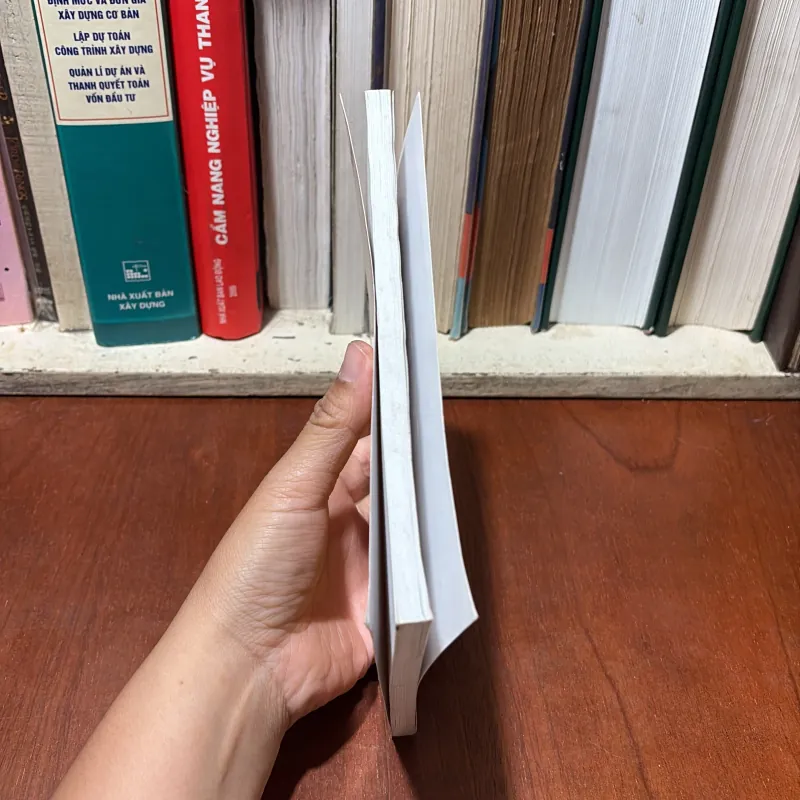 II Sách Luật: Hỏi Đáp Luật Phòng Chống Bạo Lực Gia Đình - Luật Sư Bùi Văn Thấm - 2009 748243