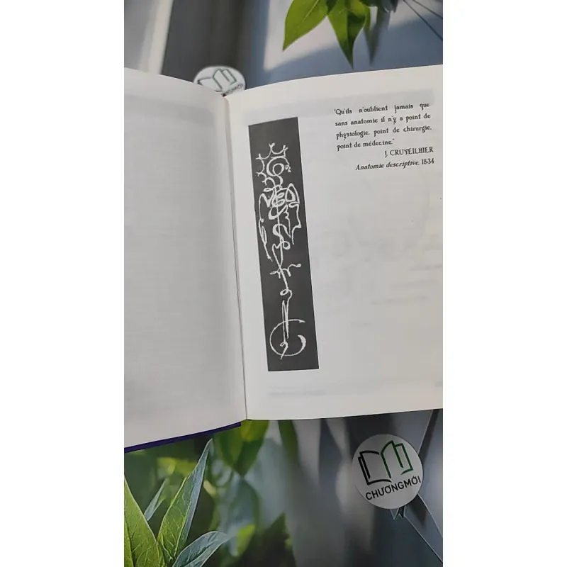 [MIỄN PHÍ BỌC SÁCH] Giải Phẫu (Đầu - Mặt - Cổ) - TS. Phạm Đăng Diệu 990450