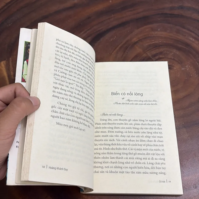 II Tập Truyện Ngắn: Cỏ Dại - Hoàng Khánh Duy - 2018 1000924