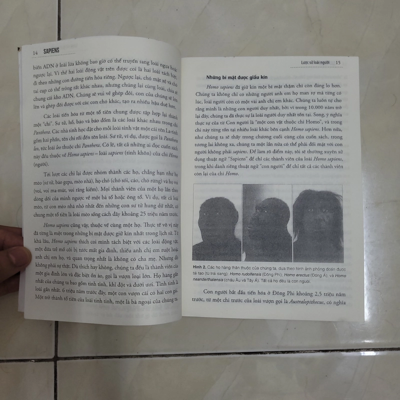 Lược sử loài người 453366