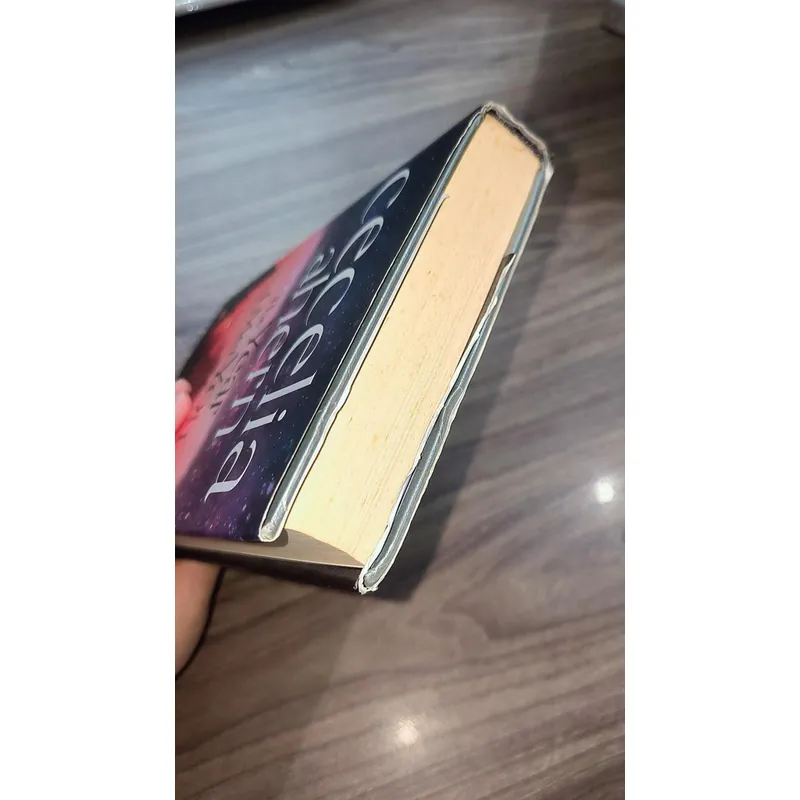 The Year I Met You
by Cecelia Ahern 723239