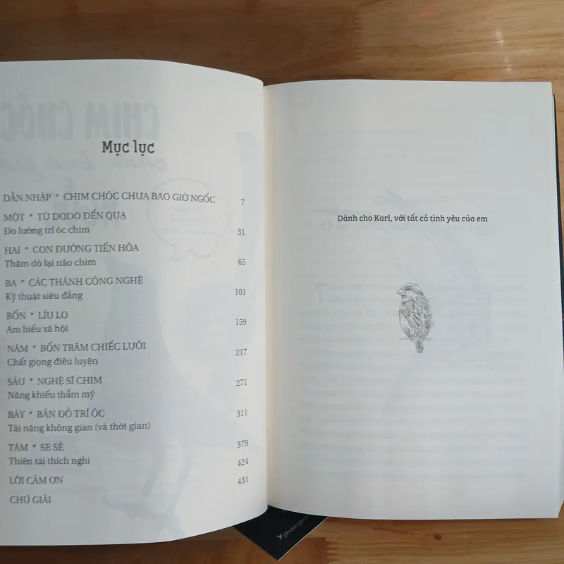 Chim Chóc Chưa Bao Giờ Ngốc - Jennifer Ackerman 739569