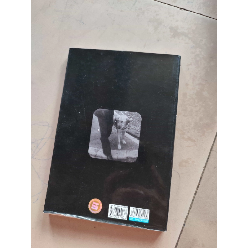 Quill bước ngắn dệt nên dặm dàiHCM01/03 437602