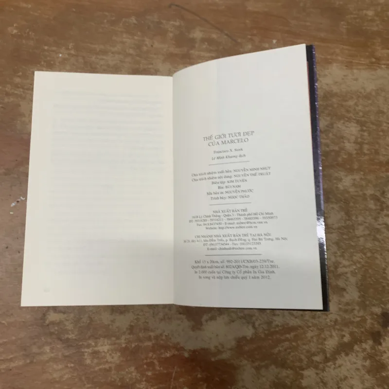THẾ GIỚI TƯƠI ĐẸP CỦA MARCELO - FRANCISCO X. STORK 745533