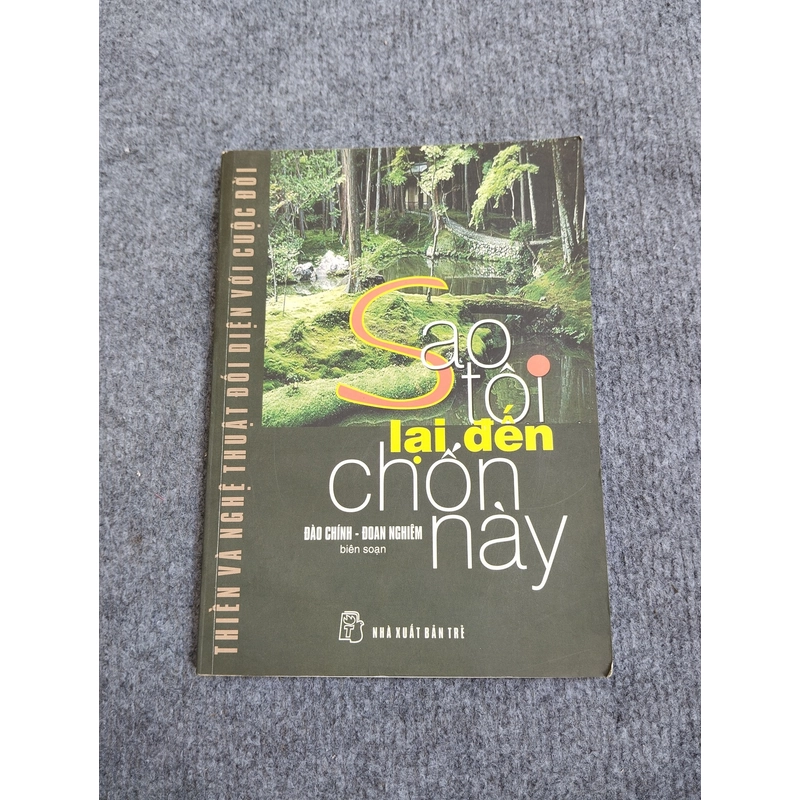 SAO TÔI LẠI ĐẾN CHỐN NÀY 494916