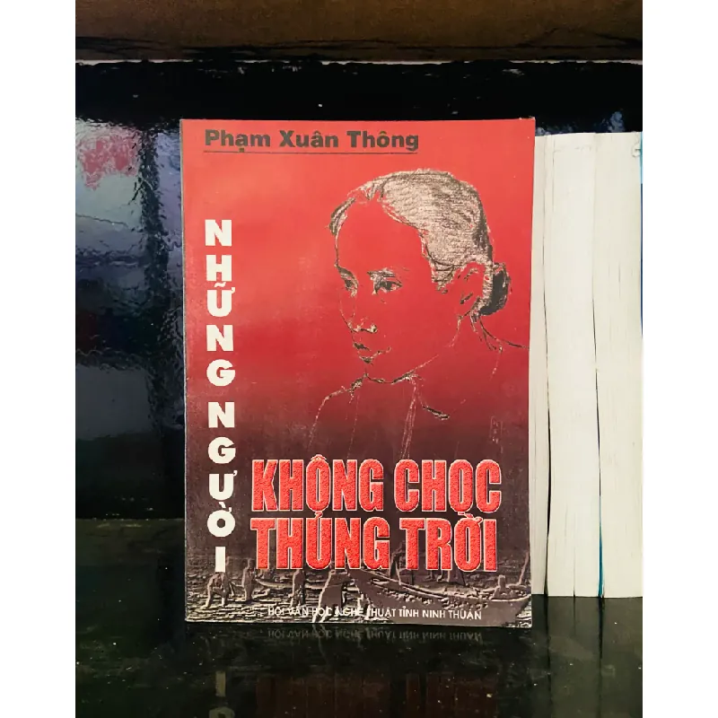 Những người không chọc thủng trời 555661