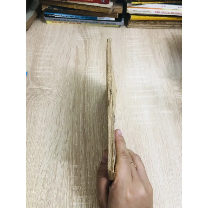 THĂM CẢNH HƯƠNG SƠN  928933