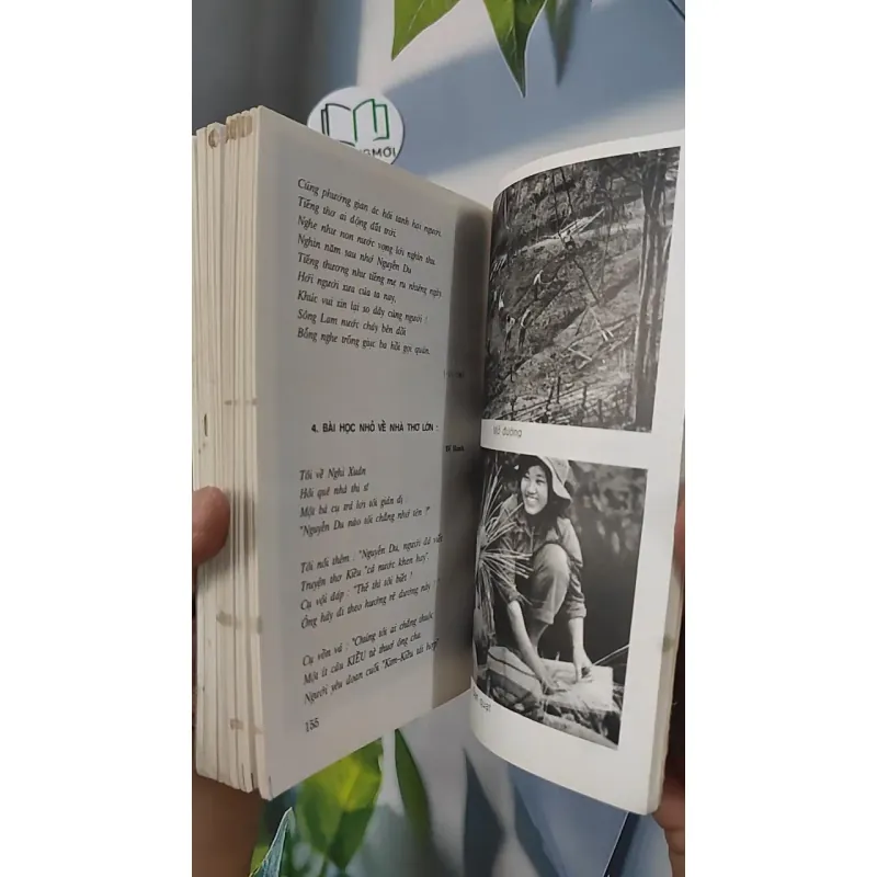 [XƯA] Trên Đỉnh Trường Sơn Kể Truyện Kiều (1999) - Trương Nguyên An 798340