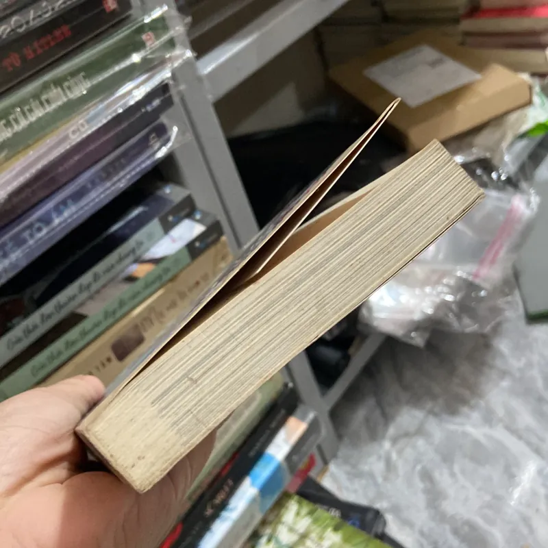 Venise và những cuộc tình gondola - Dương Thuỵ 970010