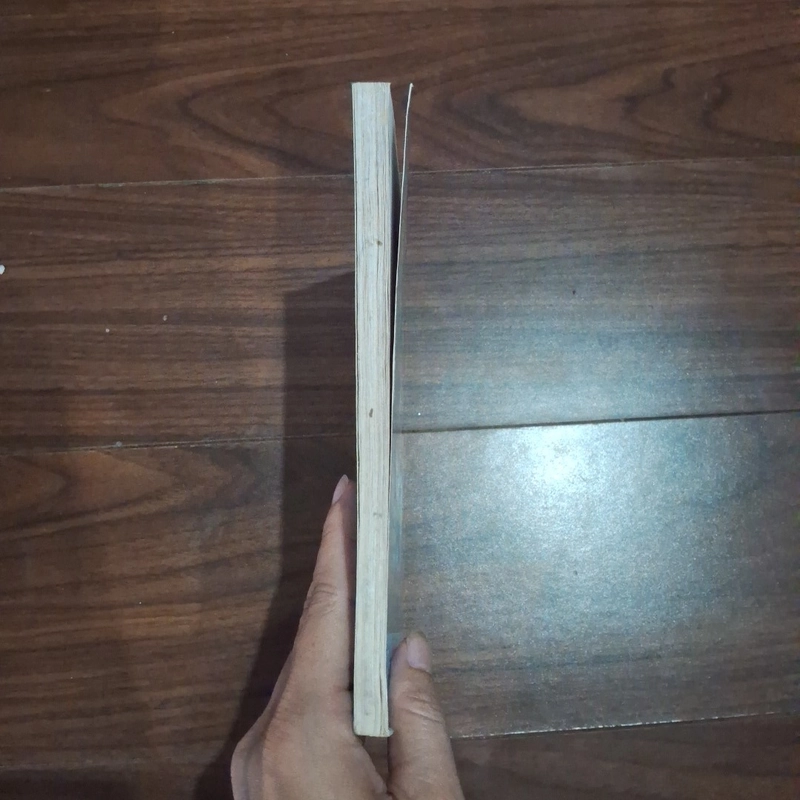 Hồn ma hải tặc râu đen 526289