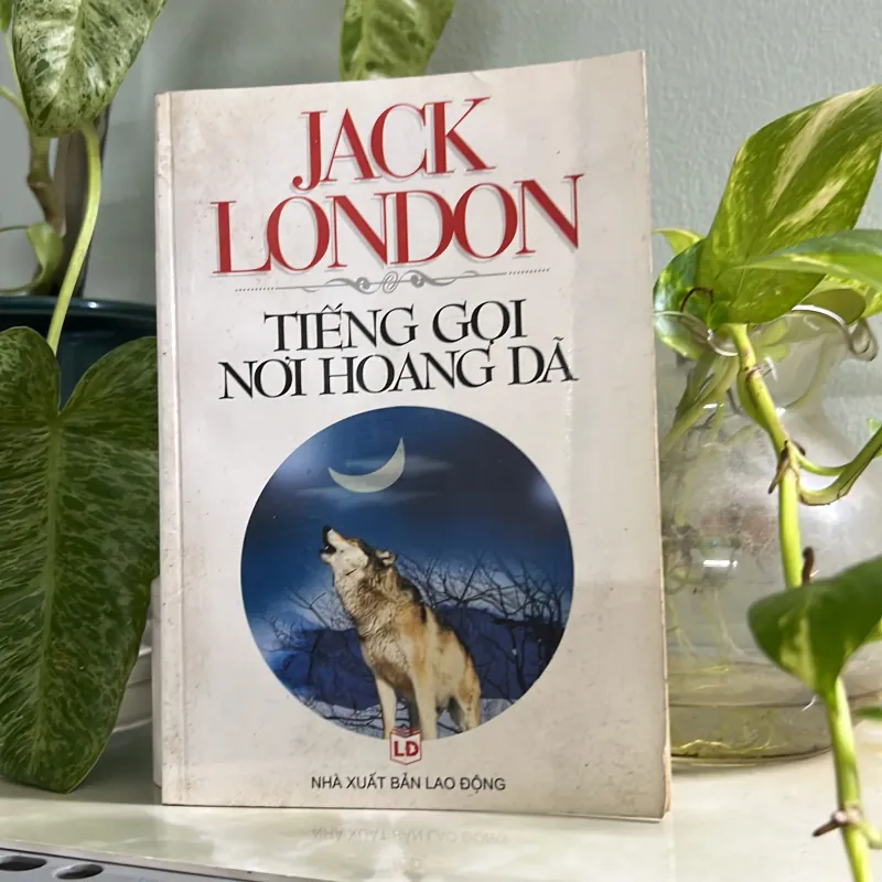 Tiếng gọi nơi hoang dã 746443