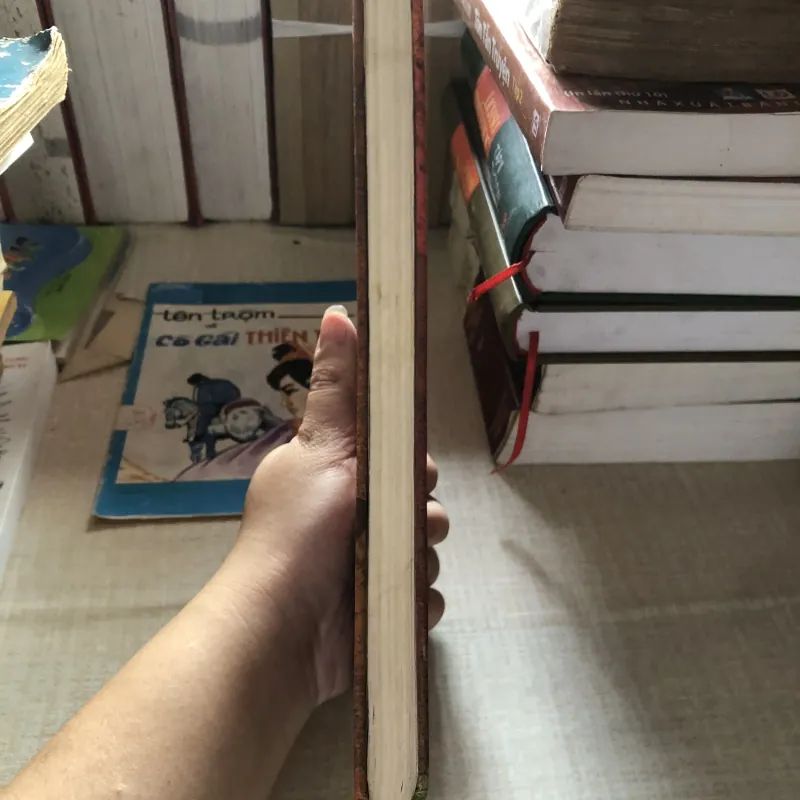 Hàn Phi Tử 993279