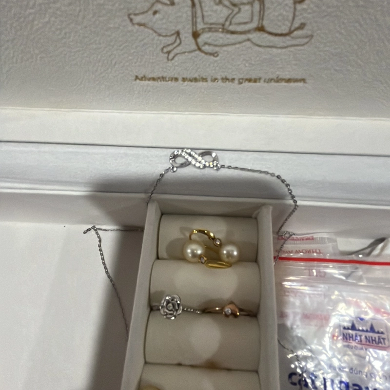 Dây chuyền bạc PNJ 456875