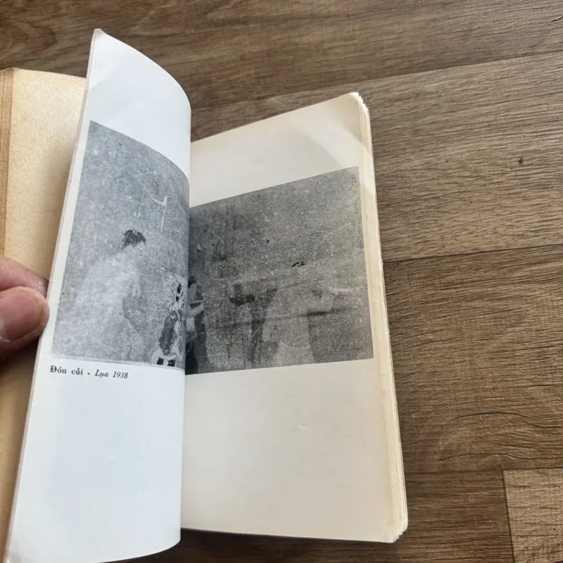 Họa sĩ Nguyễn Phan chánh 593799