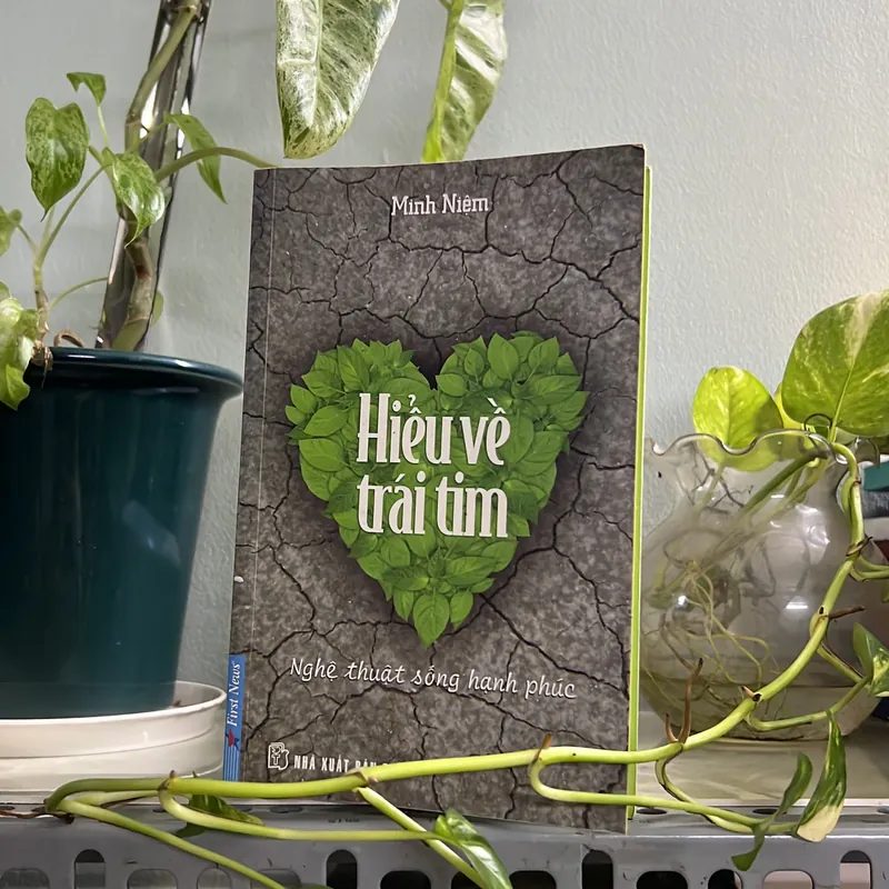 Hiểu về trái tim - Minh Niệm 736319