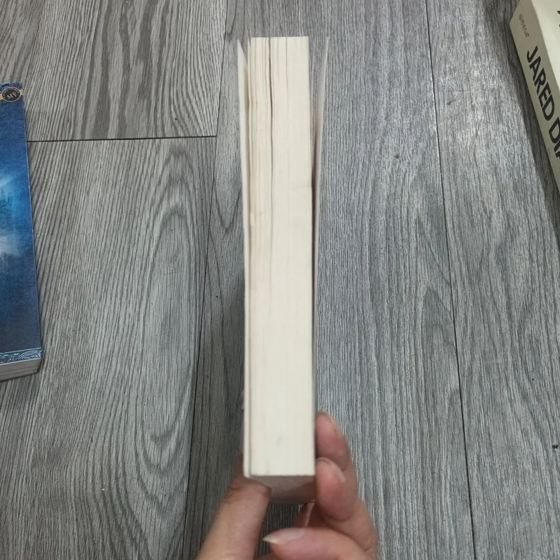 Bên Bờ Quạnh Hiu - Quỳnh Dao 699318