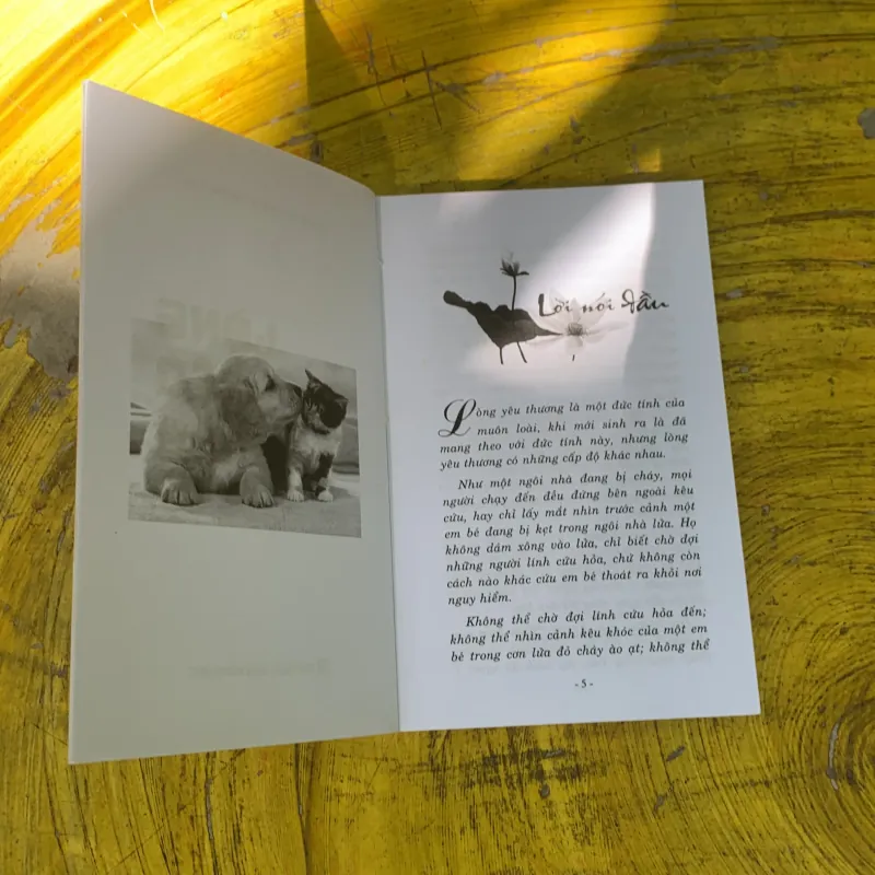 LÒNG YÊU THƯƠNG full hai tập - TRƯỞNG LÃO THÍCH THÔNG LẠC 752643